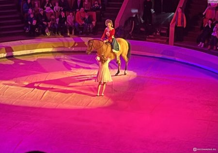 Цирковое шоу