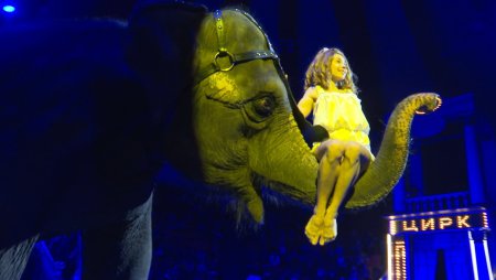 Анастасия Андреева цирк девочка и слон