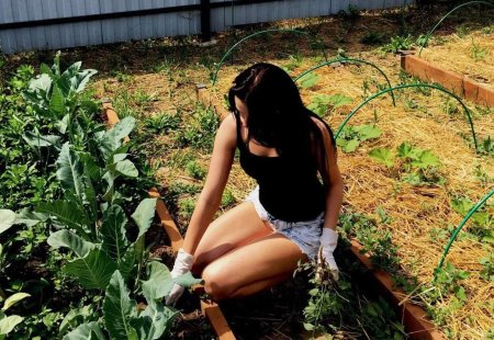 Красивые девушки на даче