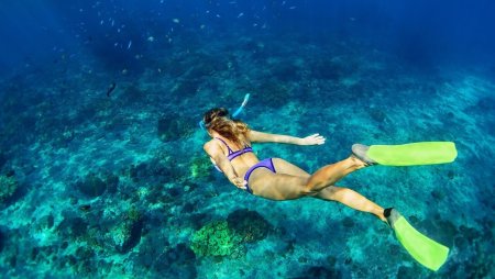 Мальдивы дайвинг снорклинг