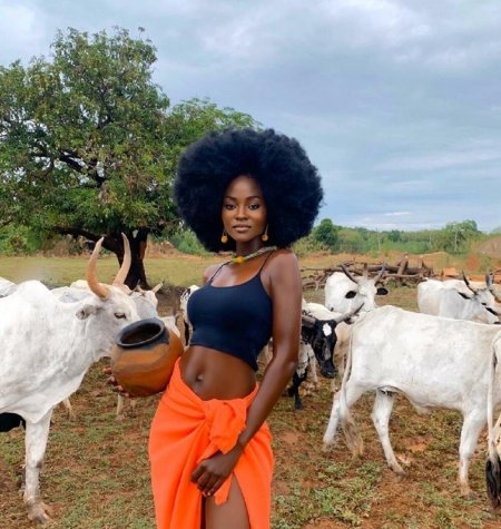 Хаммат Монтия