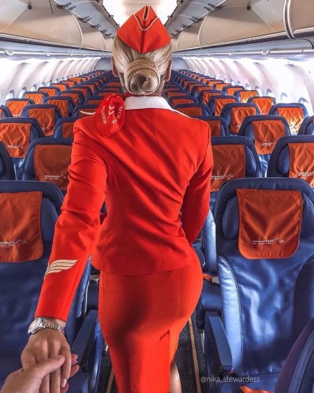 Стюардесса Эстетика