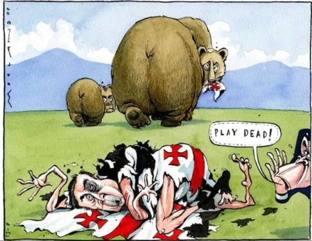 Медведь карикатура