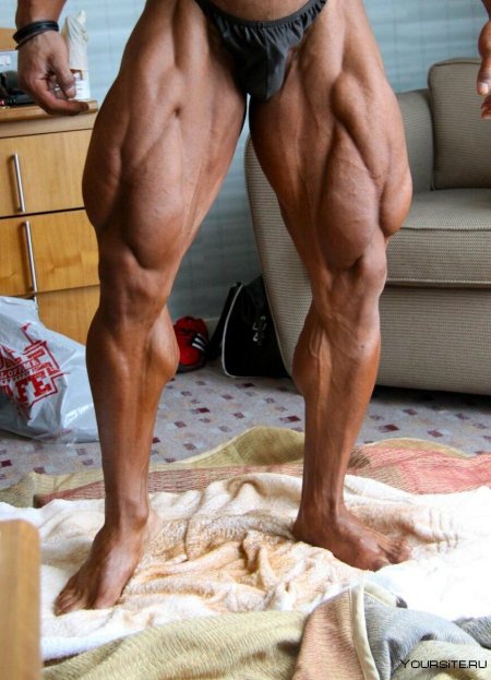 Упражнения на квадрицепсы