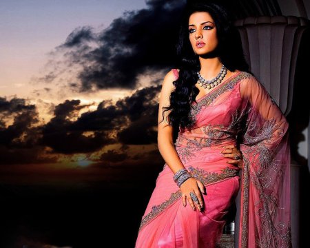 Celina Jaitley Saree