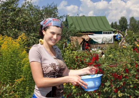 Девчонки на даче