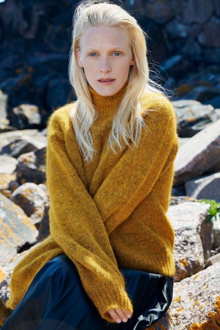 Скандинавская Нордическая внешность