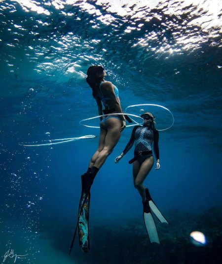 Антея Гамильтон ныряльщицы