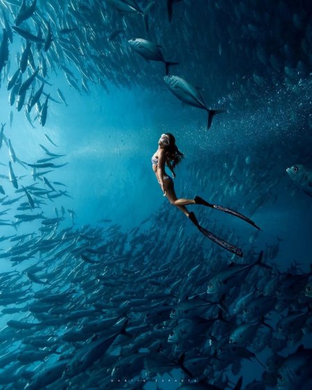 Подводная плавание