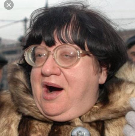 Валерия Новодворская кирпич