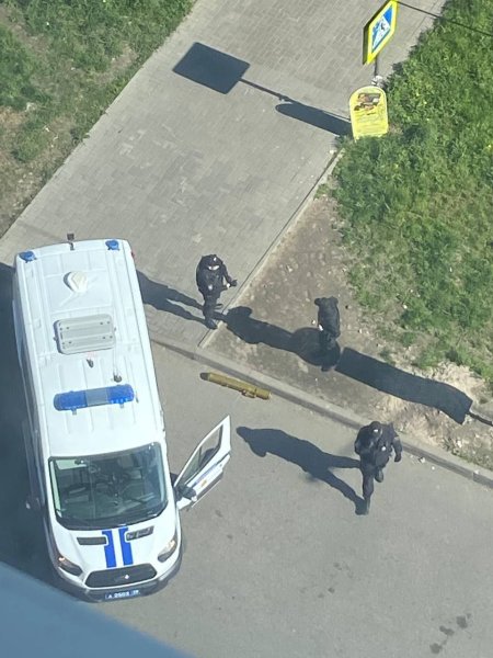 Девушка в Мурино задержана