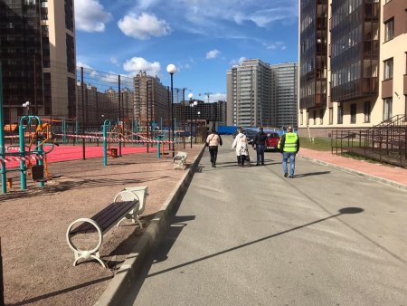 Мурино клоповник