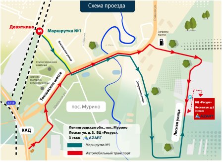 Лесная ул 3 Мурино