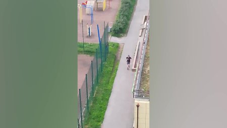 Мурино новости образования