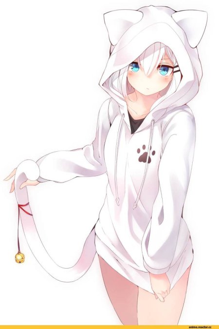 Ринго-Чан неко