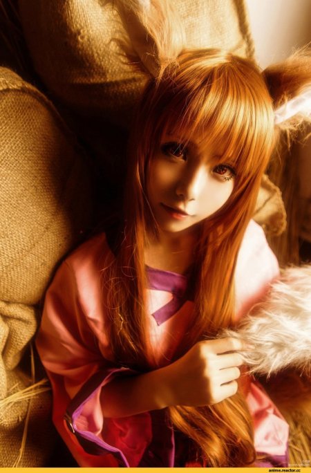 Косплей аниме волчица и пряности