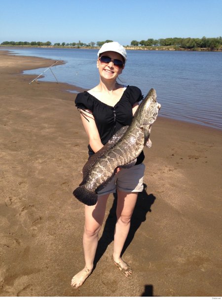 Рыбы Амурской области