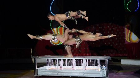 Женская цирковая акробатика