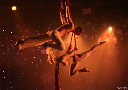 Воздушные акробаты