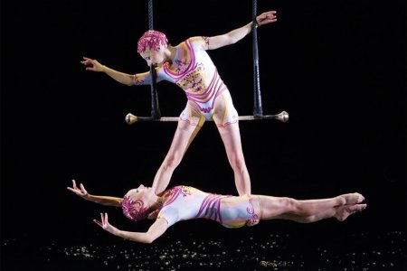 Акробаты в цирке