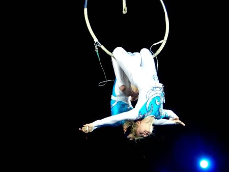 Цирковые воздушные гимнасты