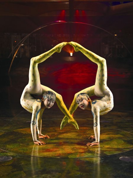 Цирк дю солей цирк солей