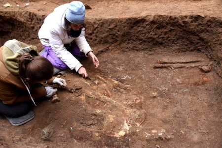 Курган раскопки скифских Курганов