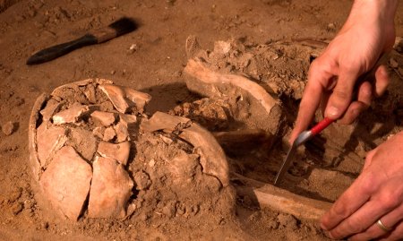 Археологические раскопки останки