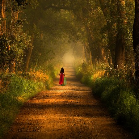 Тропинка жизни