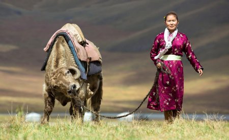 Mongolian Монголия