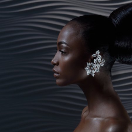 Адриана махогани чернокожая модель