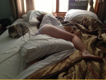 Спит в кровати домашнее