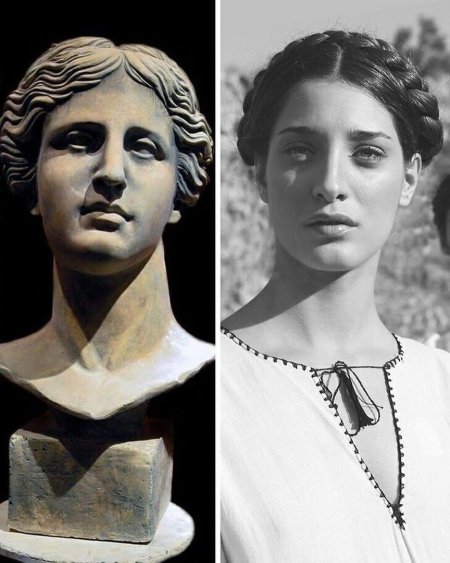 Андри картони модель