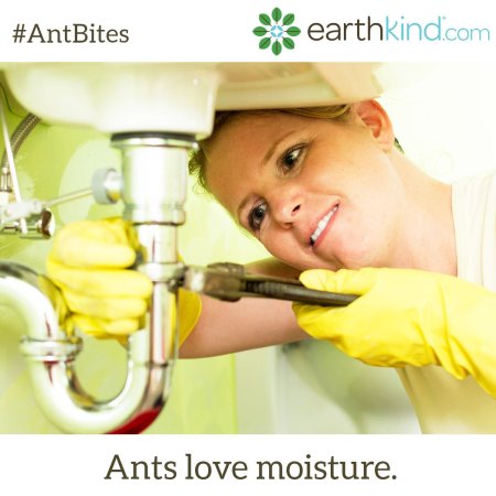 Девушка сантехник