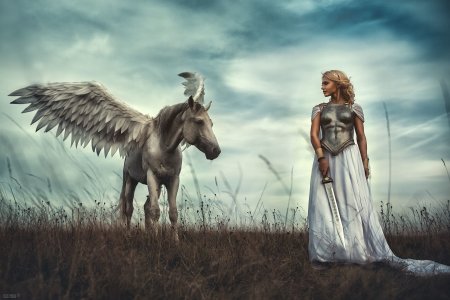 Воительница Валькирия Славянская мифология