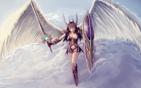 Фулона Валькирия