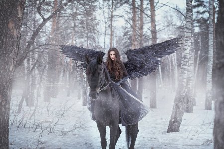 Валькирия арт