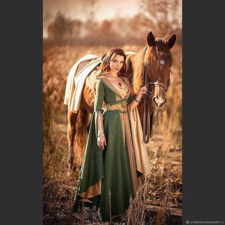 Берканар Викинг