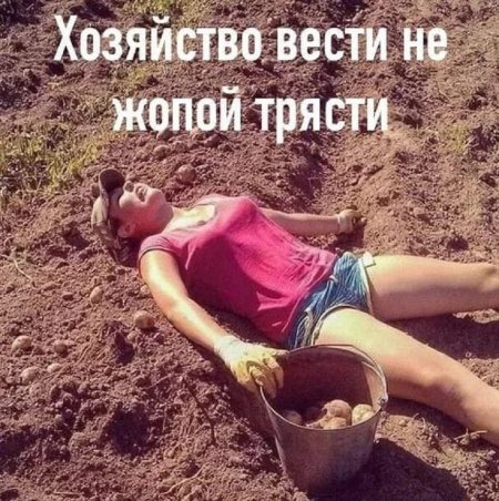 Загораю на грядках