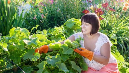 Женщина на грядке