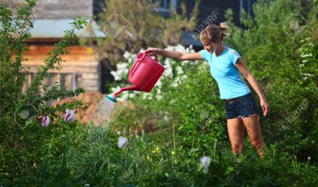 Красивая девушка в огороде