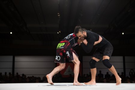 Грейси грепплинг