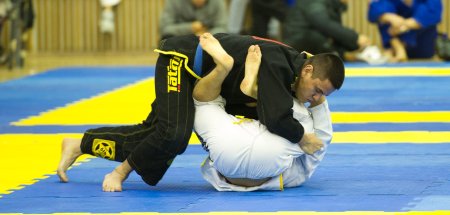 Борьба , джиу джитсу грепплинг