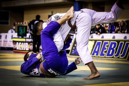 Джиу джитсу партер