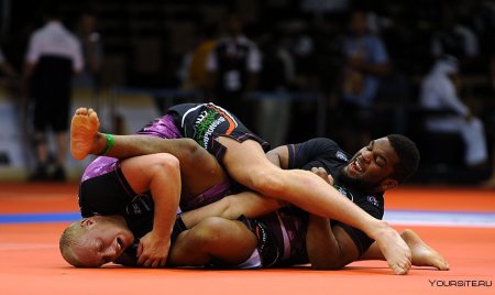 ММА грэпплинг