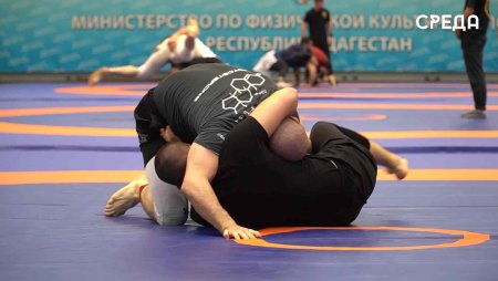 Тренер по грепплингу в Дубках