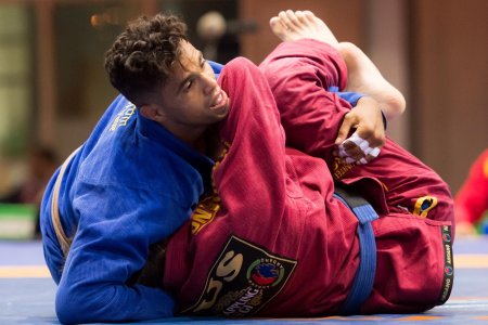 Грэпплинг ги