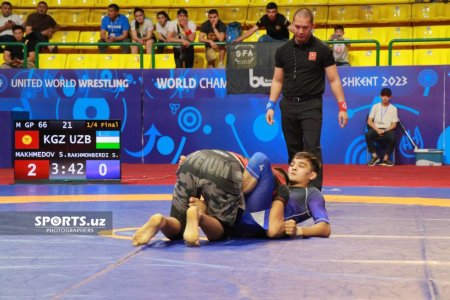 Wrestling world championships