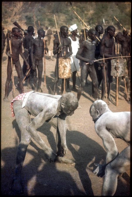 Нубийцы лени Рифеншталь женщины