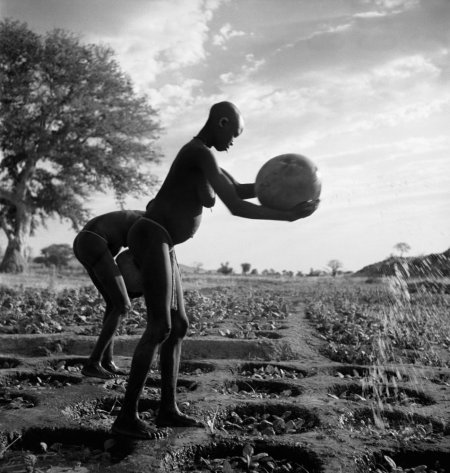 Нубийские борцы Рифеншталь